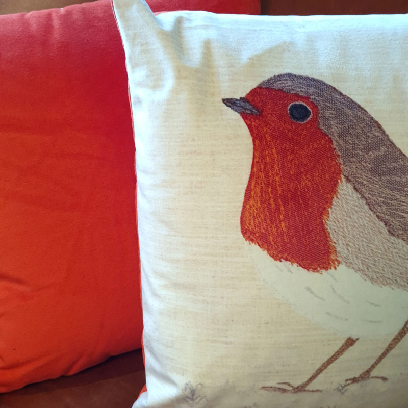 Robin Cushion Velvet Image 3